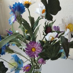 С днем победы!. Цветы полевые.Цветы победы