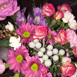 Девчонки, поздравляю с 8 марта.