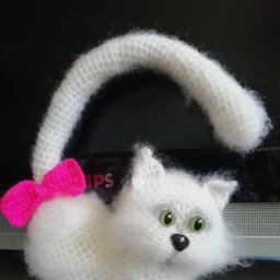 Влюблённый белый котик