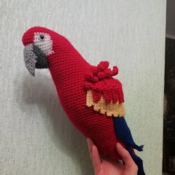 Попугай АРА