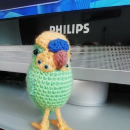 Волнистый попугайчик