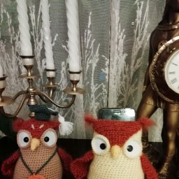 Мои совушки и совсем маленький мышастик