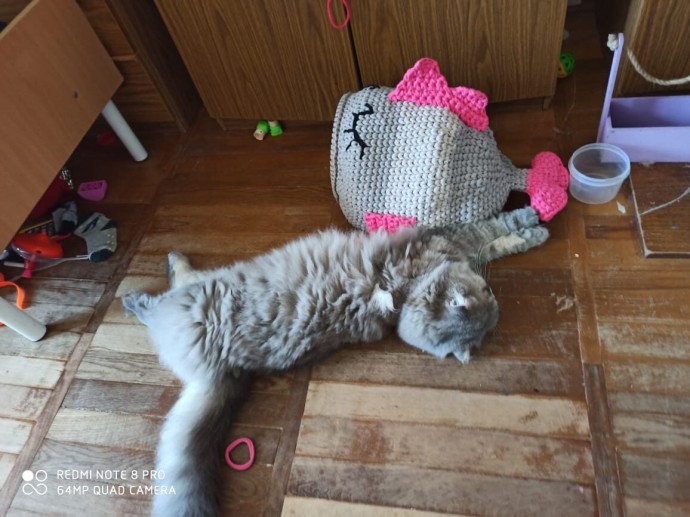 Домик для кота.. Домик для кота..
