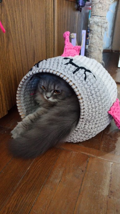 Домик для кота.. Домик для кота..