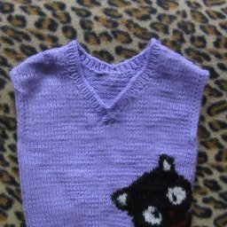 Жилет с кошкой.