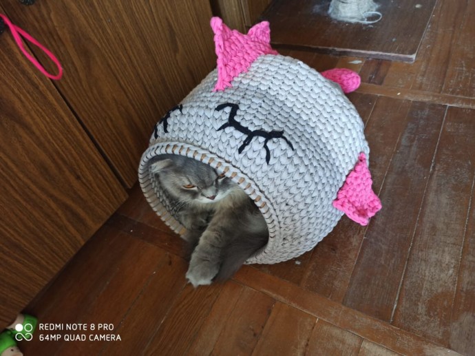 Домик для кота.. Домик для кота..