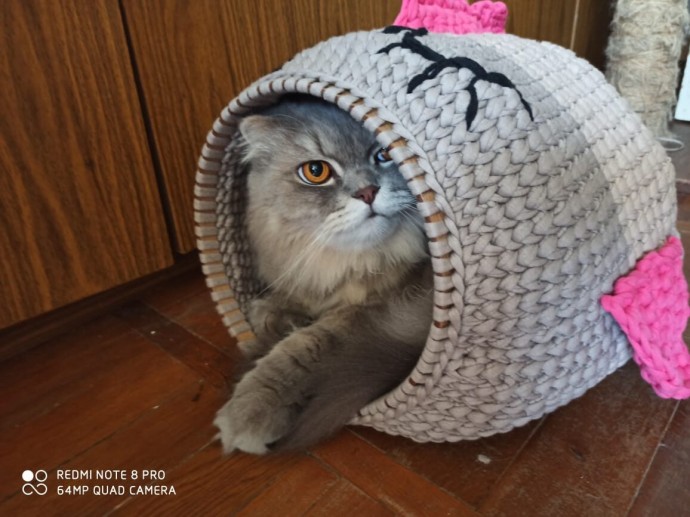 Домик для кота.. Домик для кота..