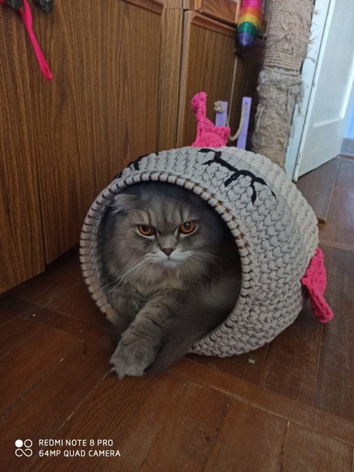 Домик для кота.. Домик для кота..