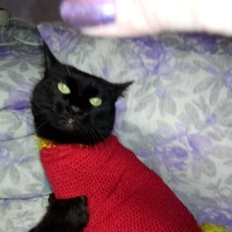 Вяжу, плету, вышиваю и живу только в позитиве