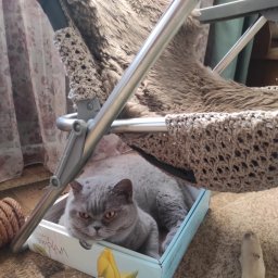 Лежанка для кошки