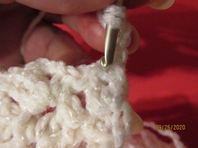 BAG: White "Sedge Stitch" Clutch Style, Crochet Purse.