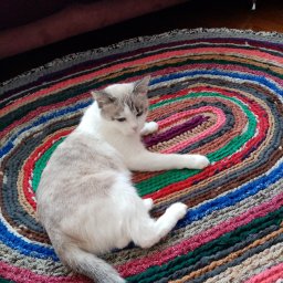 Коврик для любителей смотреть телевизор.