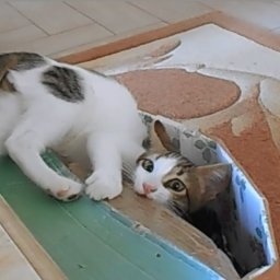 Пифагор и коробка.