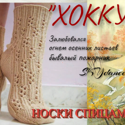 Носочки спицами "ХОККУ"