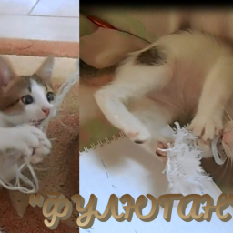 "Маленькие детки - маленькие бедки"