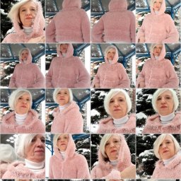 Свиншот,бомбер.....