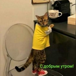 Ольга