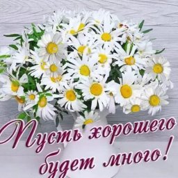 Ирина Ирина