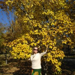 Осенний листопад