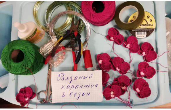 Орхидея Орхидея