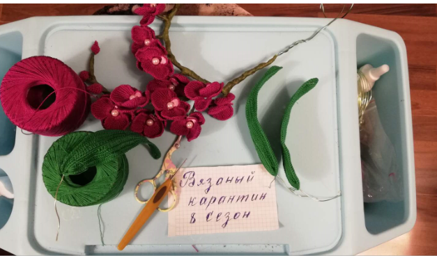 Орхидея Орхидея