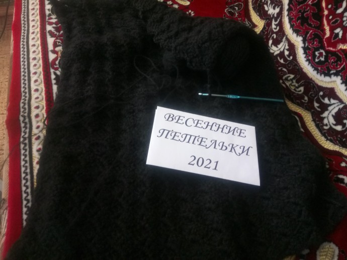 Кардиган с капюшоном "Новый Амстердам" 7 Кардиган с капюшоном "Новый Амстердам" 7