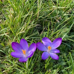 детские тапочки-пинетки МК