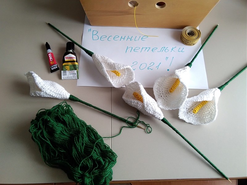 Весенняя радость - калла Белокрыльник.