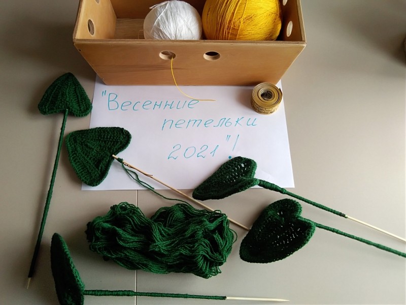 Весенняя радость - калла Белокрыльник.