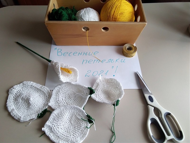 Весенняя радость - калла Белокрыльник.