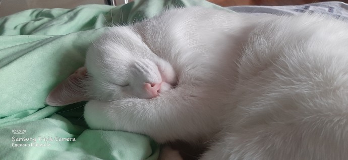 Вечное эко Вечное эко