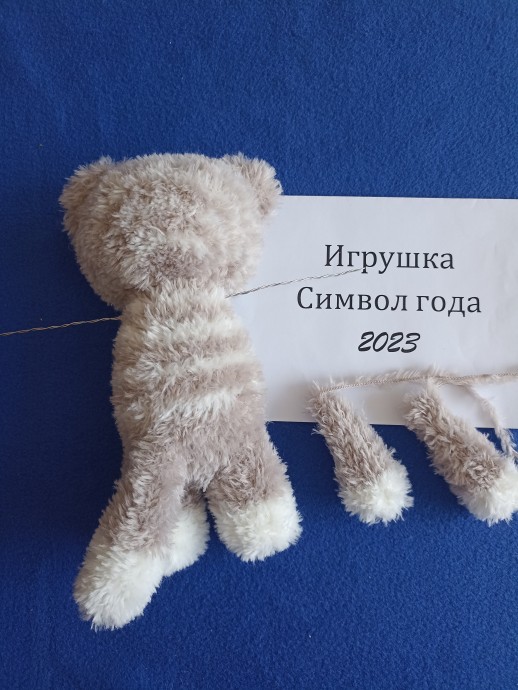 Котик Нафаня Котик Нафаня