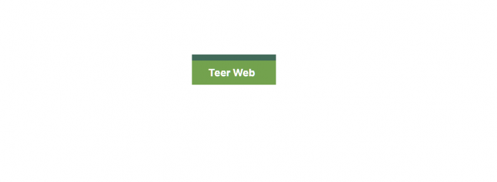 Teerweb Teerweb