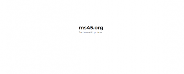 Ms45 Ms45