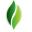 svaorganics svaorganics