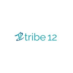 Tribe12org Tribe12org