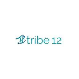 Tribe12org