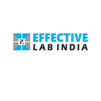 effectivelabindia effectivelabindia