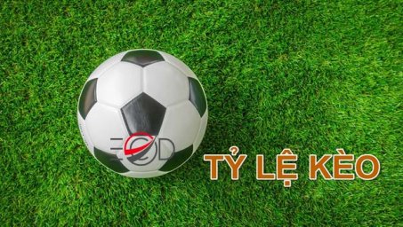tylekeotvx tylekeotvx