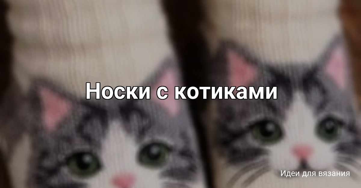 Носки с котиками
