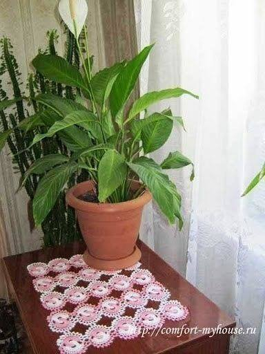 Салфетка из колец Салфетка из колец