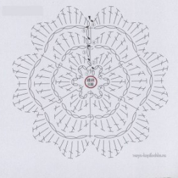 ЦВЕТЫ И ЛИСТЬЯ .КРЮЧОК