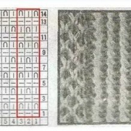 КРАСИВАЯ БЕЗРУКАВКА