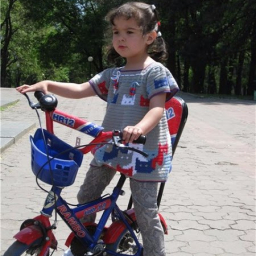 Жаккард. Кошки