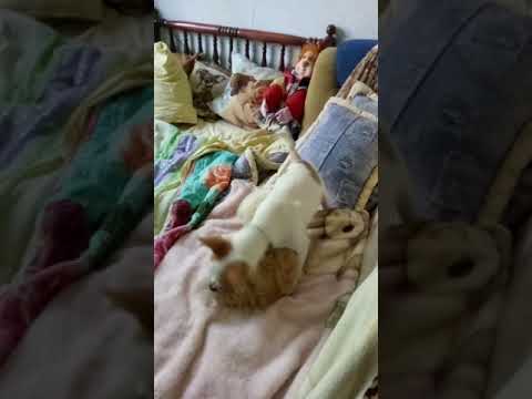 Мое хозяйство..