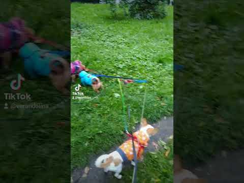 Доброго всем утра!!